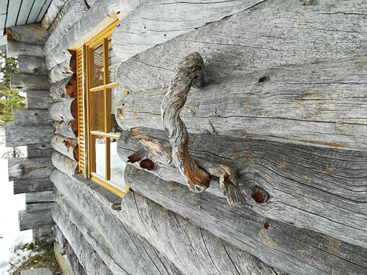 Logwood Chalet Luosto Exterior photo
