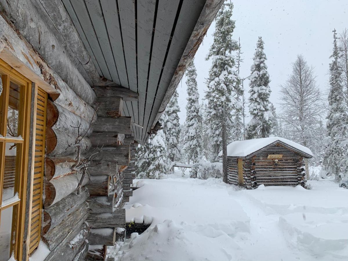 Logwood Chalet Luosto Exterior photo