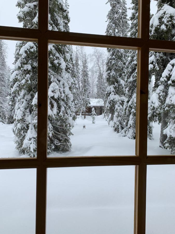 Logwood Chalet Luosto Exterior photo